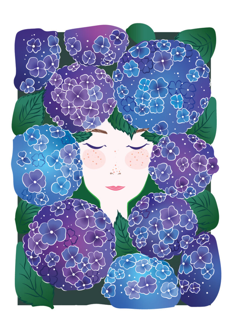 Hortensia - hydrangea - digital illustration